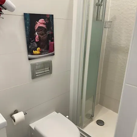 Pensamento 12b 民宿